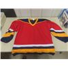 Image 3 : 15 Assorted Hockey Jerseys Size Xl