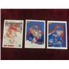 Image 6 : Hockey Card Collection Approx. 1000 Cards