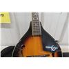 Image 7 : Epiphone MM-20-A Style Mandolin With Soft Case