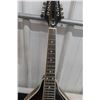 Image 9 : Epiphone MM-20-A Style Mandolin With Soft Case