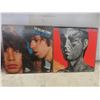 Image 6 : 13 Rolling Stones Albums