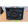 Image 1 : Omage Spectrum SM10 125 Watt Two Way Monitor Loud Speaker