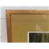 Image 4 : Two Framed Pictures, Largest 17" x 14"