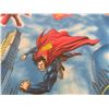 Image 11 : Large Lot of Children's Twin Flat Sheets/Pillowcases Shoe Bags Transformers Ghostbusters Paw Patrol