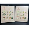 Image 1 : 2 OSULLOC Lovely Tea Gift Box Sets; Premium Korean Tea Sampler Sets - New!