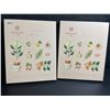 Image 1 : 2 OSULLOC Lovely Tea Gift Box Sets; Premium Korean Tea Sampler Sets - New!