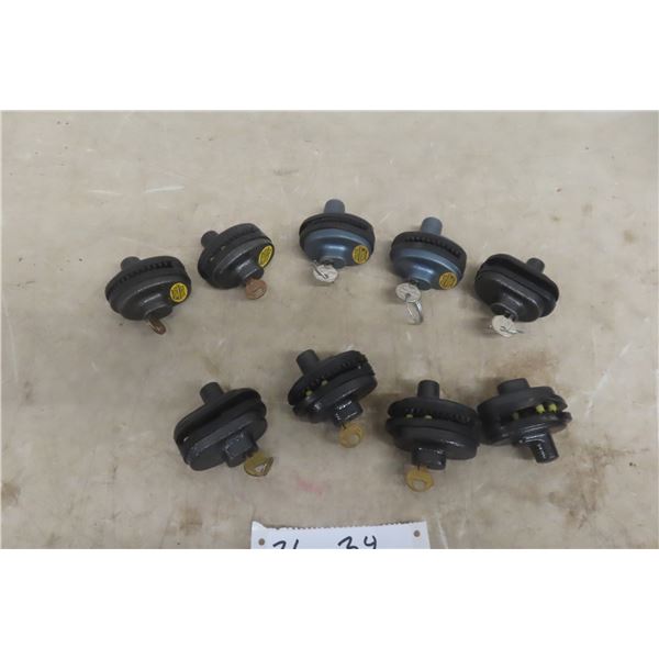 Nine Keyed Trigger Locks