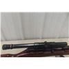 Image 4 : Savage Model 60 Deluxe .22 LR Semi Auto Rifle With 24" Barrel, Scope, and Sight
