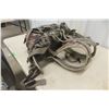 Image 6 : Whitetail Bone Collector 1.0 Hunting Backpack