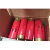 Image 3 : Winchester 12 Gauge 2 3/4" Shotgun Ammunition, 175 Rounds