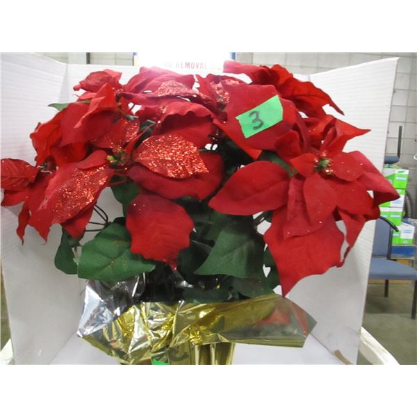 ESTATE:  POINTSETTA FLOWER