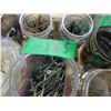 Image 2 : TRAY C/W ASSORTED SCREWS & BOLTS