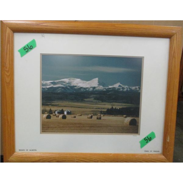 PICTURE "IMAGES OF ALBERTA" (APPROX. 19" X 23")