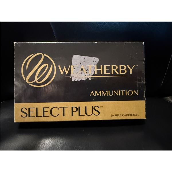 .257 WBY Magnum 100GR Ammunition
