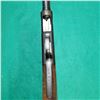 Image 14 : Riverside Arms Co 12g Pump  Action  Shotgun "Shorty"