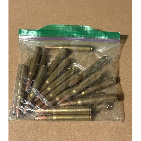 .30-06 SPRG Rifle Cases