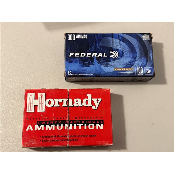 Hornady and Federal 300 win mag