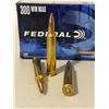 Image 4 : Hornady and Federal 300 win mag