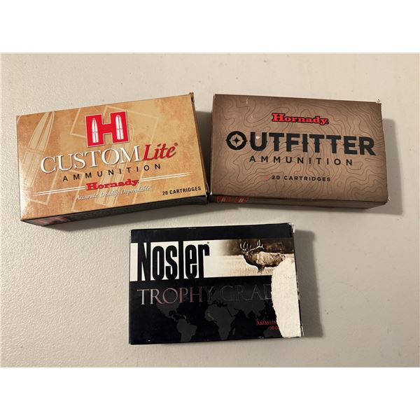 Hornady and Nosler 300 win mag