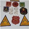 Image 4 : Sharpshooter Badges & Medals
