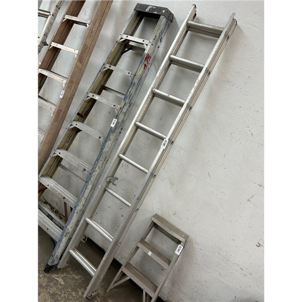 Alum. Approx. 16'   Stepladder