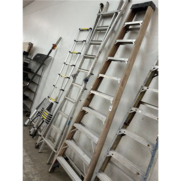 Werner FG 10'  Stepladder