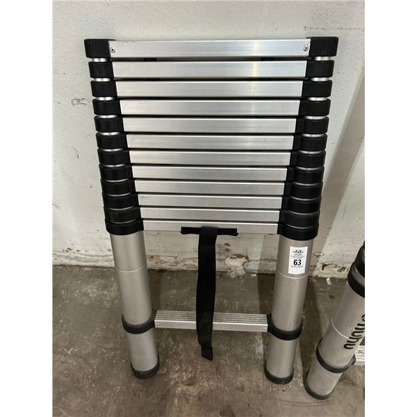 Alum. Telescoping Ladder