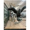 Image 4 : Weather Vanes w/Horse/Heron/Others