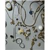Image 5 : Mixed Jewellery Lot 1