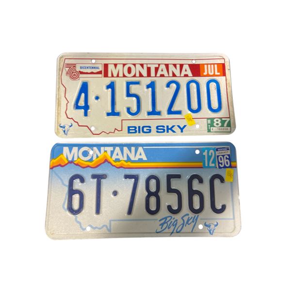 2 Vintage Montana License Plates: 6T 7856C (1996) and 4-151200 (July 1987)