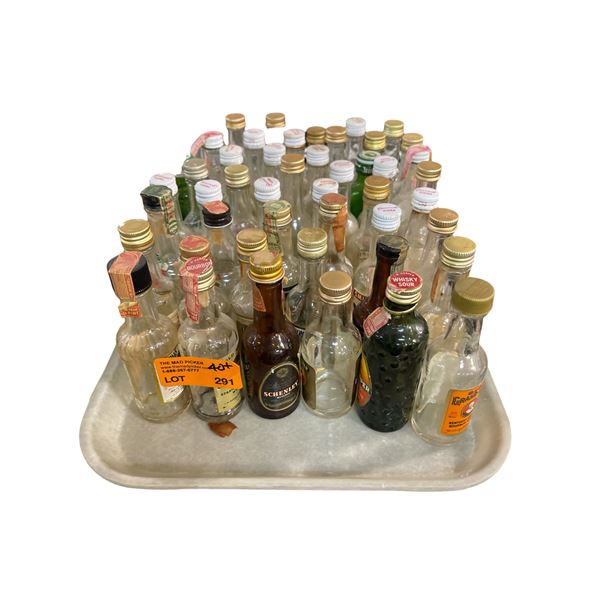 40+ Vintage Glass Mini Liquor Bottles - Empty