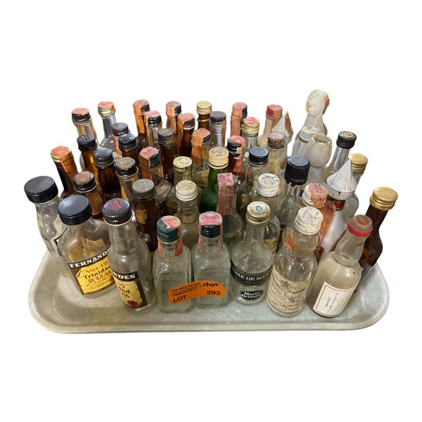 40+ Vintage Glass Mini Liquor Bottles - Empty