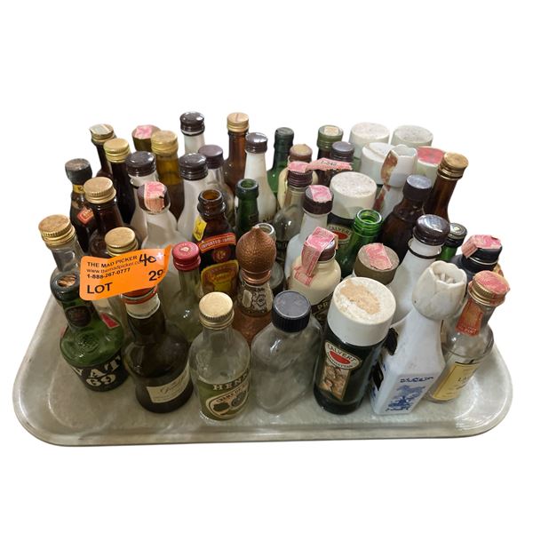 40+ Vintage Glass Mini Liquor Bottles - Empty