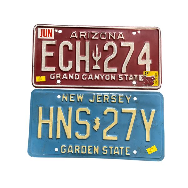 2 License Plates: Arizona "ECH 274" and New Jersey "HNS 27Y"