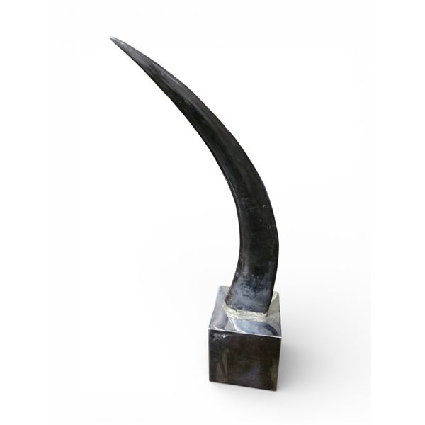 Decorative Horn on Base, 19" Tall