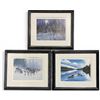 Image 1 : 3 Richard DeWolfe Framed Wildlife Prints - "Loons", "Wolves" and "Howling Wolves" Ltd. Publishers Ed