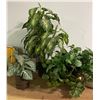 Image 4 : Mixed Home Decor Lot - 3 Artificial Plants, Wall Sconces & Flameless Candles