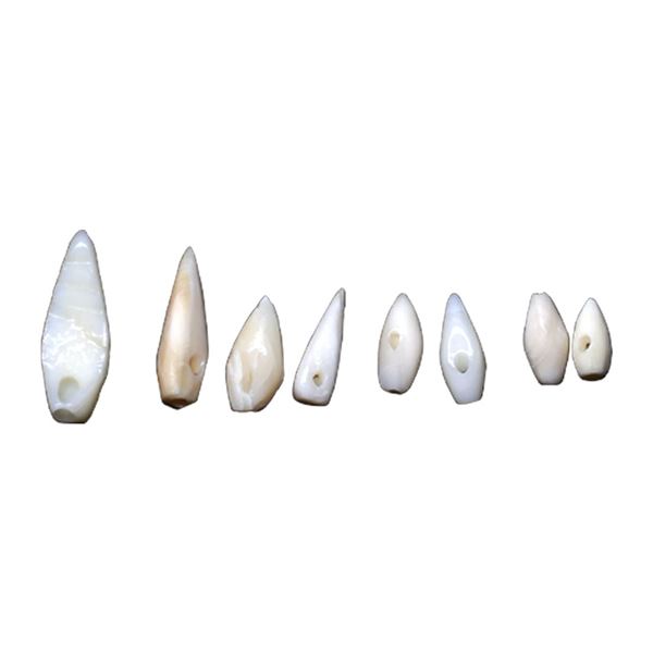 Ancient, Primitive Money, (5-6th Century BC) Beads,