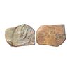 Image 1 : Ancient, Vidisha City State, (2nd-1st Century BC), Copper Heavy Unit, 8.14 gms,