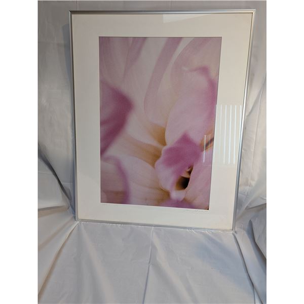 SAM SHORT CIBACHROME 1997 DALIA PHOTO