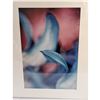 Image 1 : SAM SHORT CIBACHROME 1997 ORCHID PHOTO 1/10 PRINT.