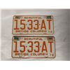 Image 1 : 1976 British Columbia license plate pair