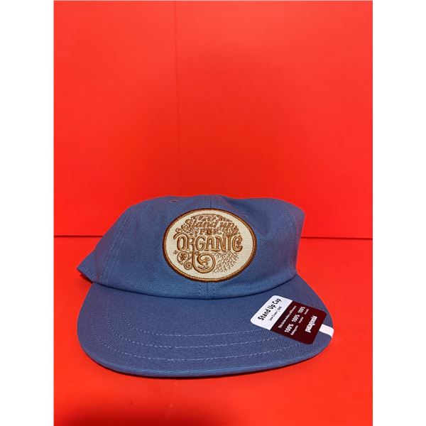 Patagonia Stand Up Alpine Icon Funfarer Cap made of 100% organic cotton canvas