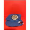 Image 1 : Patagonia Stand Up Alpine Icon Funfarer Cap made of 100% organic cotton canvas