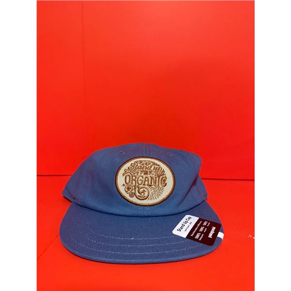 Patagonia Stand Up Alpine Icon Funfarer Cap made of 100% organic cotton canvas