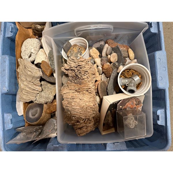 collection of various rocks, minerals, and fossils