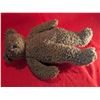 Image 3 : Vintage Teddy Bear