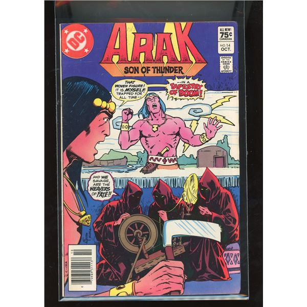Arak Son of Thunder #14 DC Comics (1982) - Tapestry of Doom