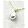 Image 1 : 14KT Yellow Gold South Sea Pearl and Diamond with Gold Plated Sterling Silver Chain, Retail $350.00.
