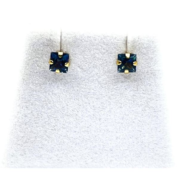 10KT Yellow Gold Natural Blue Topaz Earrings, Retail $300.00.